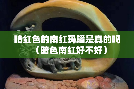 暗红色的南红玛瑙是真的吗（暗色南红好不好）