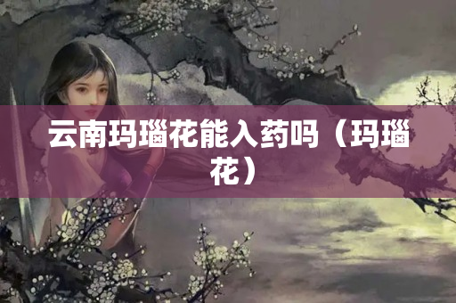 云南玛瑙花能入药吗（玛瑙 花）