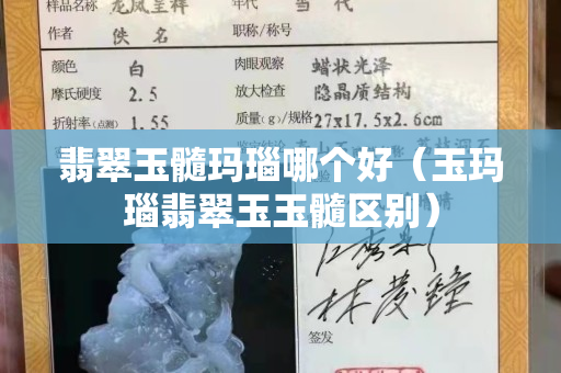 翡翠玉髓玛瑙哪个好（玉玛瑙翡翠玉玉髓区别）