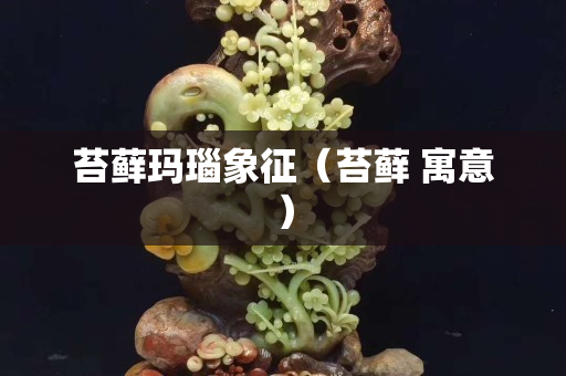 苔藓玛瑙象征（苔藓 寓意）