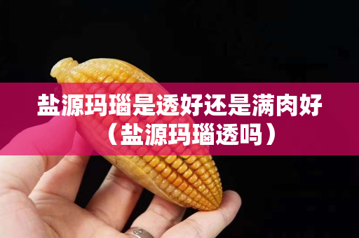 盐源玛瑙是透好还是满肉好（盐源玛瑙透吗）