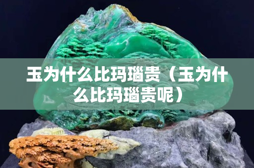 玉为什么比玛瑙贵（玉为什么比玛瑙贵呢）