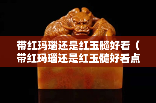 带红玛瑙还是红玉髓好看（带红玛瑙还是红玉髓好看点）