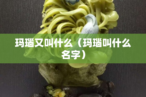 玛瑙又叫什么（玛瑙叫什么名字）