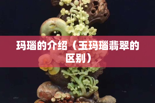 玛瑙的介绍（玉玛瑙翡翠的区别）