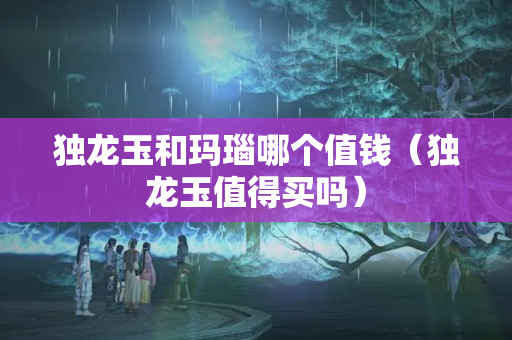 独龙玉和玛瑙哪个值钱（独龙玉值得买吗）