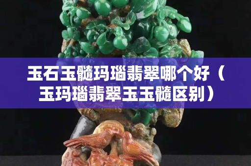玉石玉髓玛瑙翡翠哪个好（玉玛瑙翡翠玉玉髓区别）