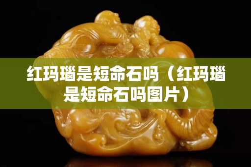 红玛瑙是短命石吗（红玛瑙是短命石吗图片）
