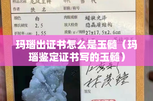 玛瑙出证书怎么是玉髓（玛瑙鉴定证书写的玉髓）