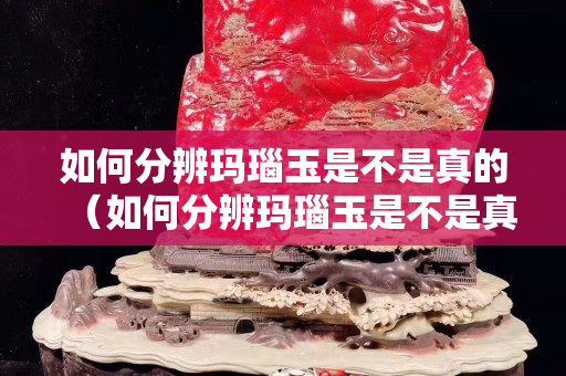 如何分辨玛瑙玉是不是真的（如何分辨玛瑙玉是不是真的翡翠）