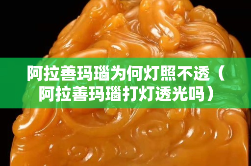 阿拉善玛瑙为何灯照不透（阿拉善玛瑙打灯透光吗）