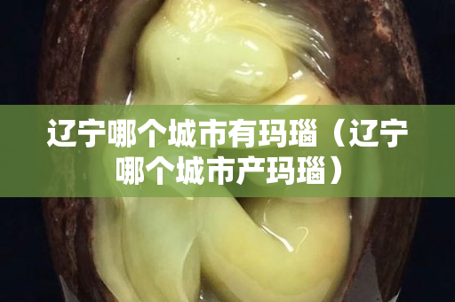 辽宁哪个城市有玛瑙（辽宁哪个城市产玛瑙）