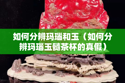 如何分辨玛瑙和玉（如何分辨玛瑙玉髓茶杯的真假）