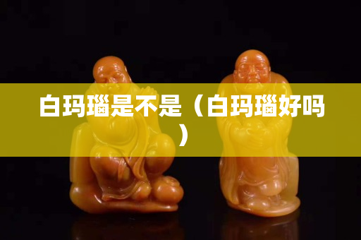白玛瑙是不是（白玛瑙好吗）