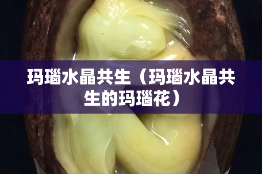 玛瑙水晶共生（玛瑙水晶共生的玛瑙花）