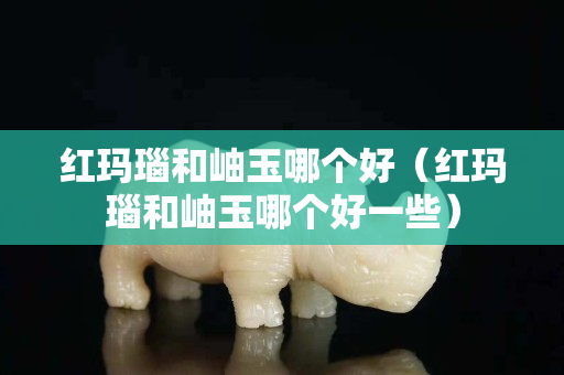 红玛瑙和岫玉哪个好（红玛瑙和岫玉哪个好一些）