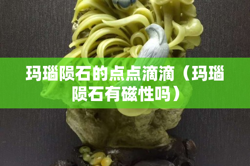 玛瑙陨石的点点滴滴（玛瑙陨石有磁性吗）