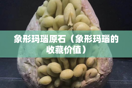 象形玛瑙原石（象形玛瑙的收藏价值）