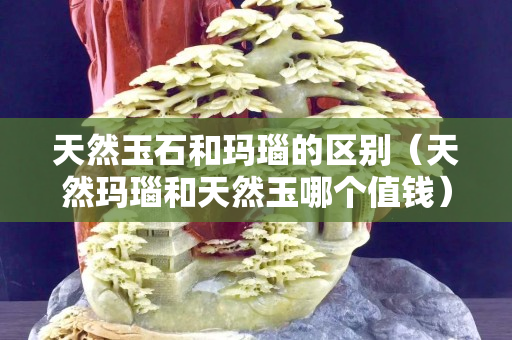 天然玉石和玛瑙的区别（天然玛瑙和天然玉哪个值钱）