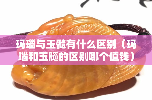 玛瑙与玉髓有什么区别（玛瑙和玉髓的区别哪个值钱）