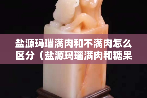 盐源玛瑙满肉和不满肉怎么区分（盐源玛瑙满肉和糖果色哪个贵一点）