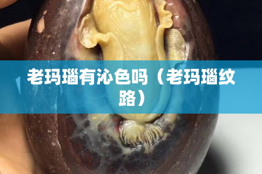 老玛瑙有沁色吗（老玛瑙纹路）