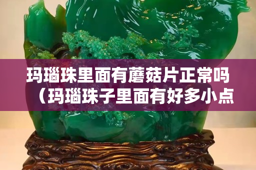 玛瑙珠里面有蘑菇片正常吗（玛瑙珠子里面有好多小点点）