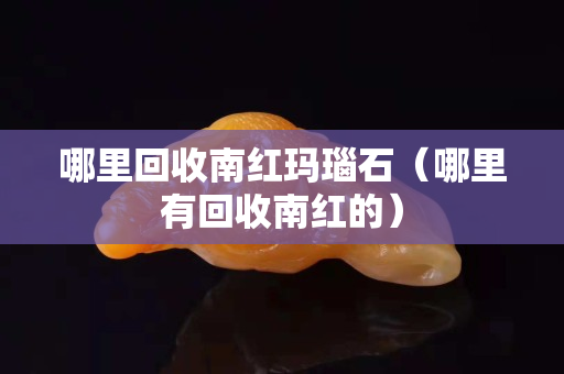 哪里回收南红玛瑙石（哪里有回收南红的）