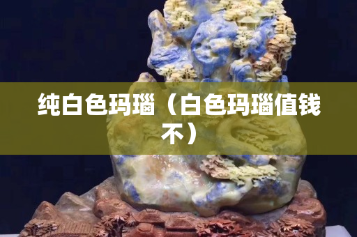 纯白色玛瑙（白色玛瑙值钱不）