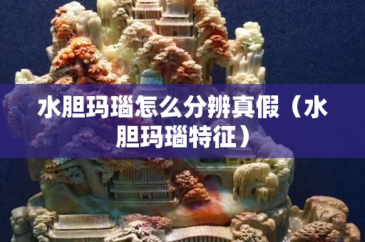 水胆玛瑙怎么分辨真假（水胆玛瑙特征）