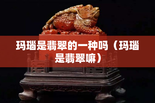 玛瑙是翡翠的一种吗（玛瑙是翡翠嘛）