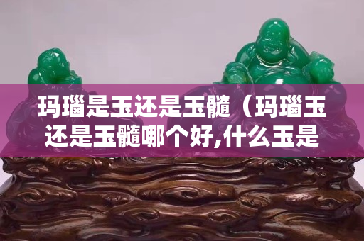 玛瑙是玉还是玉髓（玛瑙玉还是玉髓哪个好,什么玉是最好的）