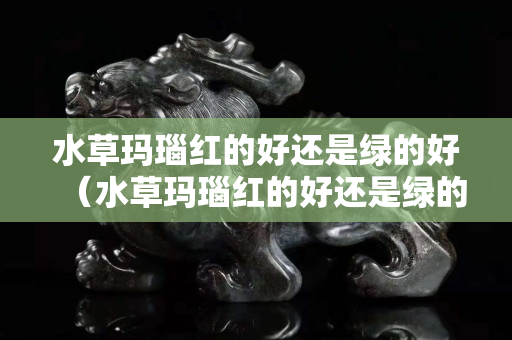 水草玛瑙红的好还是绿的好（水草玛瑙红的好还是绿的好看）