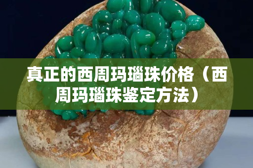 真正的西周玛瑙珠价格（西周玛瑙珠鉴定方法）