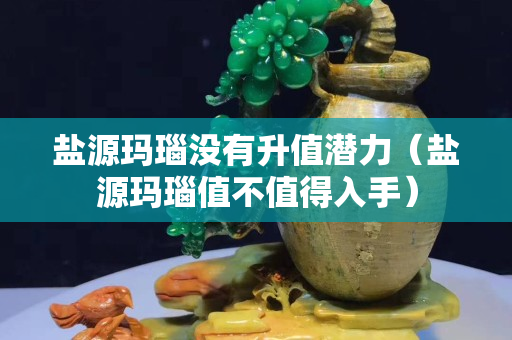 盐源玛瑙没有升值潜力（盐源玛瑙值不值得入手）
