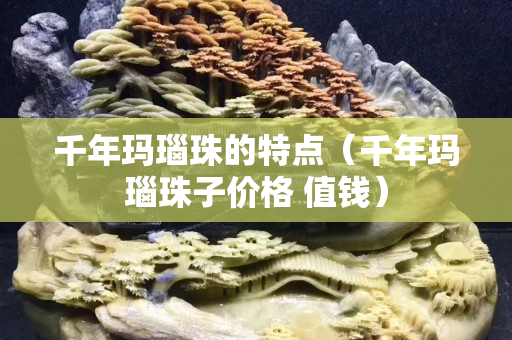 千年玛瑙珠的特点（千年玛瑙珠子价格 值钱）