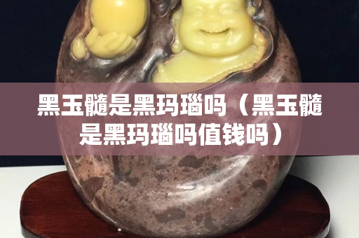 黑玉髓是黑玛瑙吗（黑玉髓是黑玛瑙吗值钱吗）