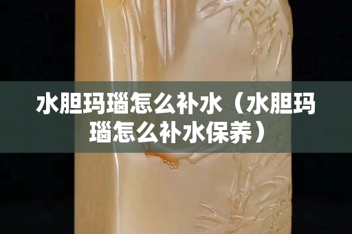 水胆玛瑙怎么补水（水胆玛瑙怎么补水保养）