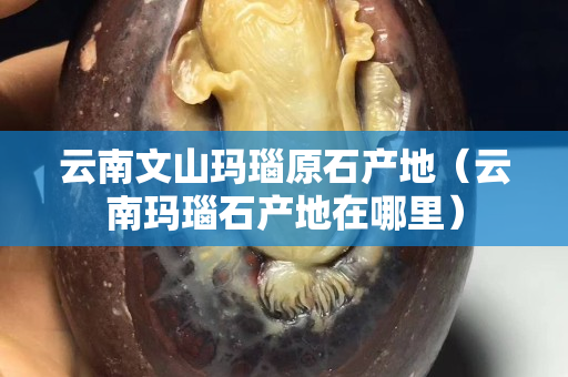 云南文山玛瑙原石产地（云南玛瑙石产地在哪里）