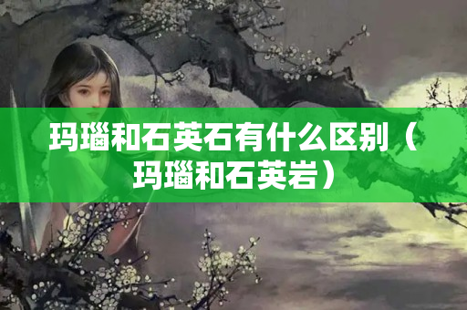 玛瑙和石英石有什么区别（玛瑙和石英岩）
