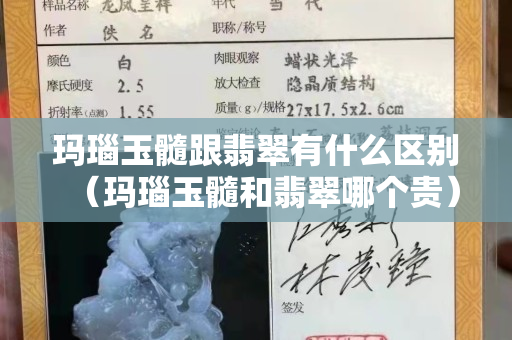 玛瑙玉髓跟翡翠有什么区别（玛瑙玉髓和翡翠哪个贵）