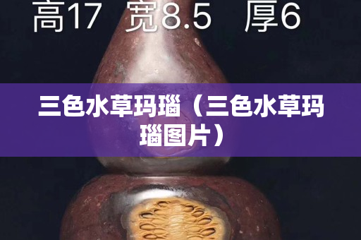三色水草玛瑙（三色水草玛瑙图片）