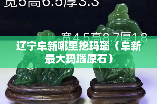辽宁阜新哪里挖玛瑙（阜新最大玛瑙原石）