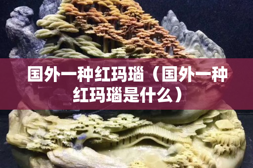 国外一种红玛瑙（国外一种红玛瑙是什么）