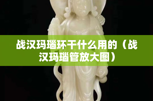 战汉玛瑙环干什么用的（战汉玛瑙管放大图）