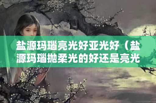 盐源玛瑙亮光好亚光好（盐源玛瑙抛柔光的好还是亮光的好）