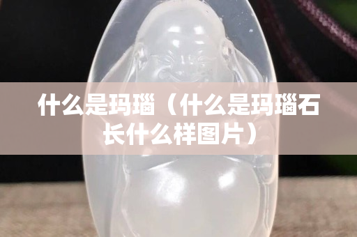 什么是玛瑙（什么是玛瑙石长什么样图片）