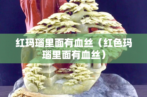 红玛瑙里面有血丝（红色玛瑙里面有血丝）