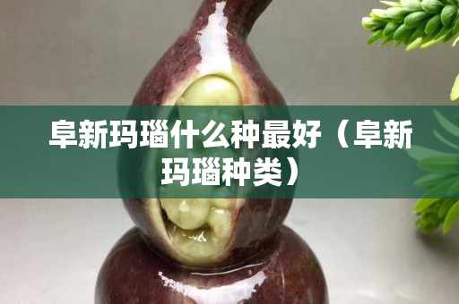 阜新玛瑙什么种最好（阜新玛瑙种类）
