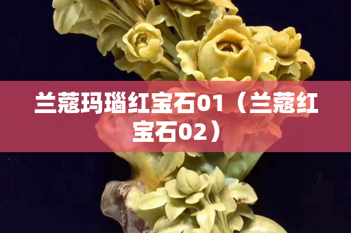 兰蔻玛瑙红宝石01（兰蔻红宝石02）